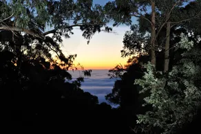 Misty Woods Retreat Olinda - Image 2