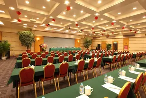 Weilai Conifer - Image 5