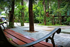 Nata Terrace - Image 4