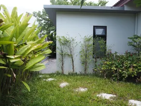 Triple Three Maikhao Villas - Image 5
