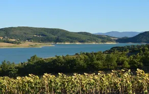 Beautiful Home in Pieve Santo Stefano With 3 Bedrooms - Image 4