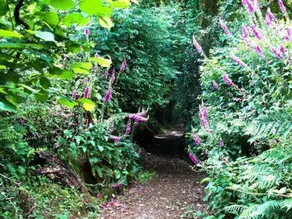 Stoneyford Cottage - Image 5