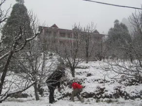 Manali Top Inn and Cafe - Image 5