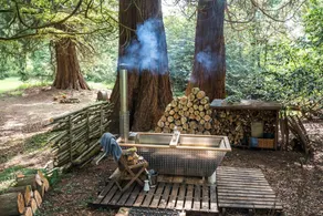 Tranquil Cabin Retreat in Carluke - Image 3
