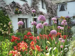 Buckle Yeat Guest House - Image 3
