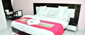 Rajvanshi Palace by Jassritha Hotels - Image 5