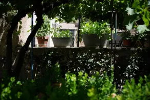 Casa con Giardino Interno nel Cuore Delle Madonie by Wonderful Italy - Image 2