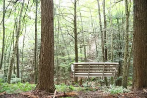 Tentrr - Fields of Dreams at Callicoon - Image 3