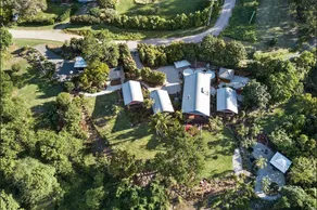 Jetavana Grove - Image 3