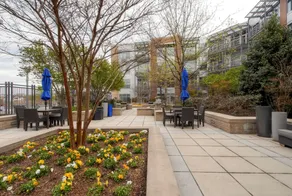 Global Luxury Suites at Park Crest Lofts - Image 3