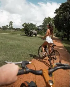 Elephant Corridor - Image 2