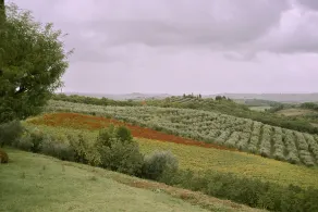 Bibbiano - Il Pero - Image 3
