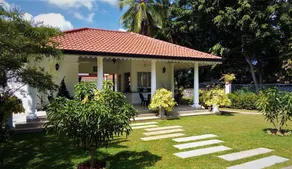 Green Grass Garden - Image 4