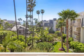 Pacific Palms - Image 3