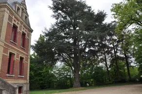 Château De La Croix Bizet - Image 4