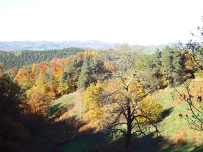 Camping des Prairies d' Auvergne - Image 2