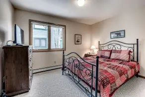 Pitkin Frisco Area Townhome - Image 1