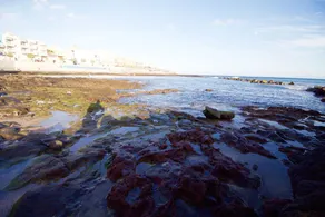 Lightbooking - Live is a beach - Image 4