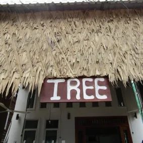 Tree Siem Reap Apartments - Image 2