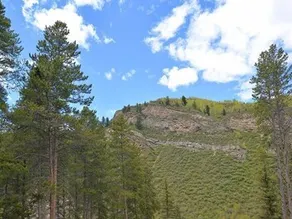 Intermountain Chalet - Image 3