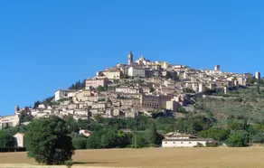 Portella - Image 5