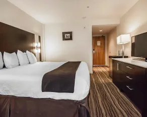 Quality Hotel Airport (South) - Image 5
