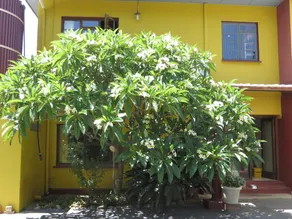 Lourens River Guesthouse B&B - Image 2