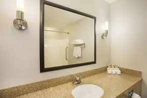 Holiday Inn Express & Suites Kalamazoo - Image 3