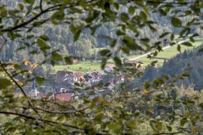 Kuca za odmor ''Julka'' - Image 3