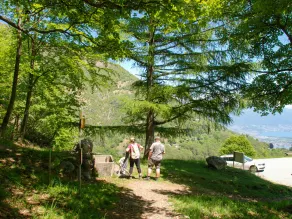 Pimpisnino Brissago in Brissago - Image 4