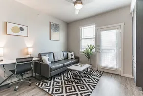Vibrant Close to UH Apartment with Pool - Image 4