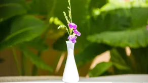 Banana Residence - Image 5