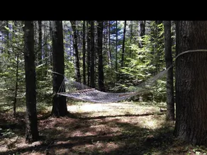 Tentrr - Pondwood Pines in Wonalancet - Image 2