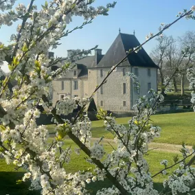 Manoir de Cleronde - Image 5