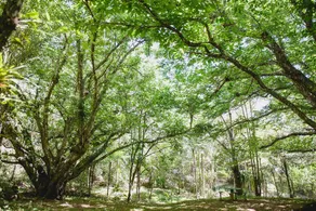 Pouso do Rochedo - Image 2