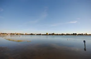 Oysters, Bosham - Image 5