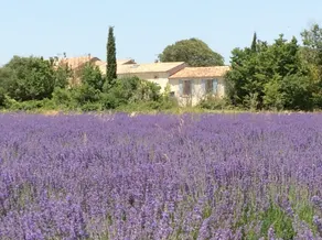 Mas Du Grand Vallen - Image 4