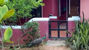 Eldc Dreamcatcher House - Image 5