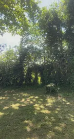 Stansted Glamping - Image 4