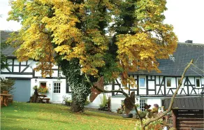 Awesome Apartment in Bad Berleburg-bergh. With 2 Bedrooms and Wifi - Image 5