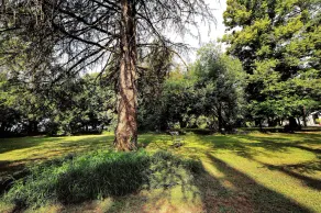 Villa Ferrario Relais - Image 5