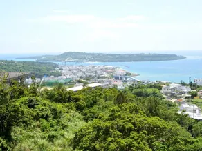 Forest Hills of Yanbaru - Image 3