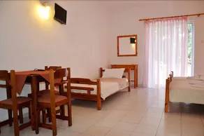 Amarilia Studios - Image 2