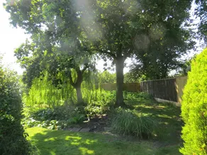 Willow Cottage - Image 5