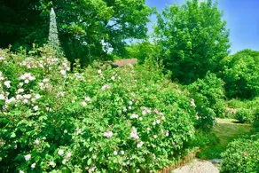 Old Park Cottage, a comfortable 17th Century cottage near coastal paths - Image 2