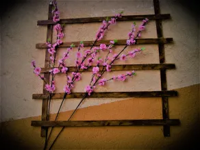 B&B Vistamare - Image 2