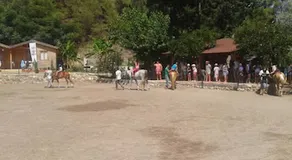 Oranj Ranch (Orange & Ranch) - Image 2