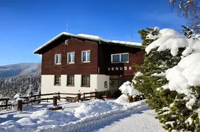 Venuse - Image 3