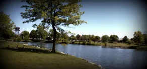 Adventureland Resort - Image 3