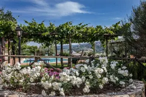 Belvedere Delle Crete - Image 5